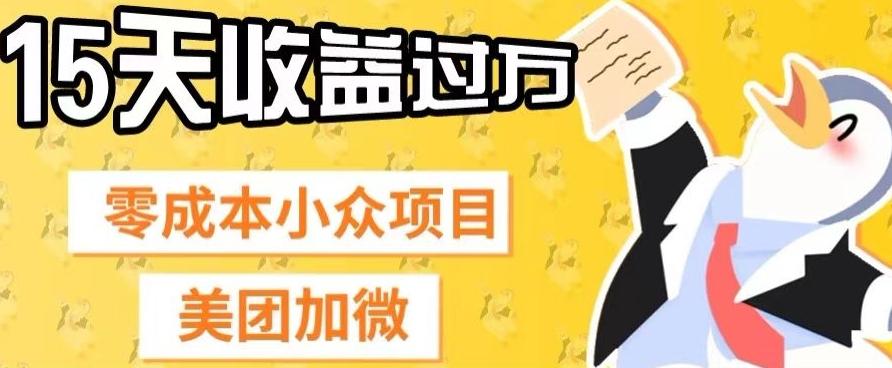 零成本小众项目，美团加微，一单4.5+，15天已经有人赚上万收益-情久项目网