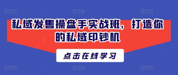 私域发售操盘手实战班，打造你的私域印钞机-情久项目网