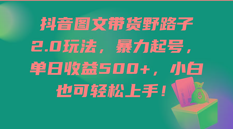 (9790期)抖音图文带货野路子2.0玩法，暴力起号，单日收益500+，小白也可轻松上手！-情久项目网