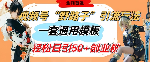 视频号“野路子”玩法，评论区疯狂截流，一套模板单日单号引流50+创业粉-情久项目网