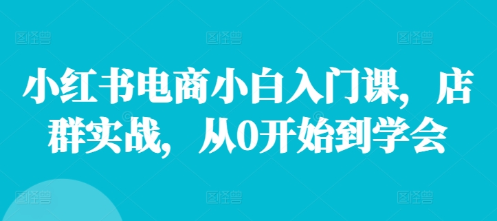 小红书电商小白入门课，店群实战，从0开始到学会-情久项目网