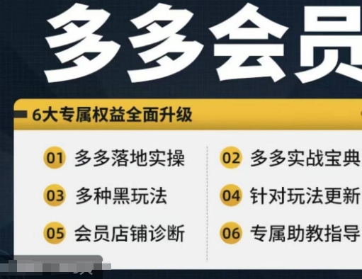 拼多多会员，拼多多实战宝典+实战落地实操，从新手到高阶内容全面覆盖-情久项目网