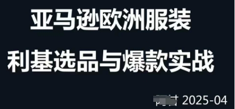 跨境电商选品案例24-25年，聚焦跨境电商选品策略与运营优化，助力卖家挖掘蓝海市场-情久项目网