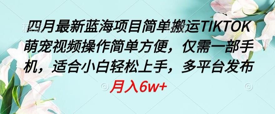 四月最新蓝海项目，简单搬运TIKTOK萌宠视频，操作简单方便，仅需一部手机【揭秘】-情久项目网