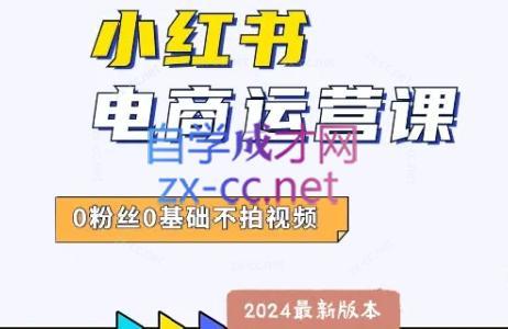 达哥·小红书电商运营(2024版)-情久项目网