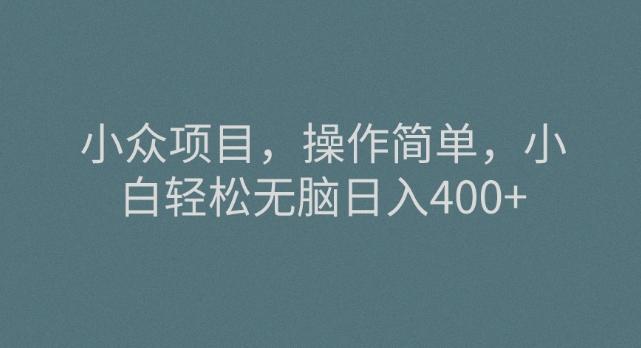小众项目，操作简单，小白轻松无脑日入400+-情久项目网