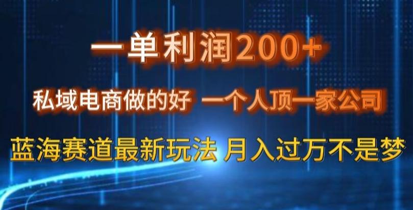 一单利润200私域电商做的好，一个人顶一家公司蓝海赛道最新玩法【揭秘】-情久项目网