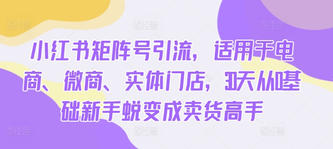 小红书矩阵号引流,适用于电商、微商、实体门店,30天从0基础新手蜕变成卖货高手