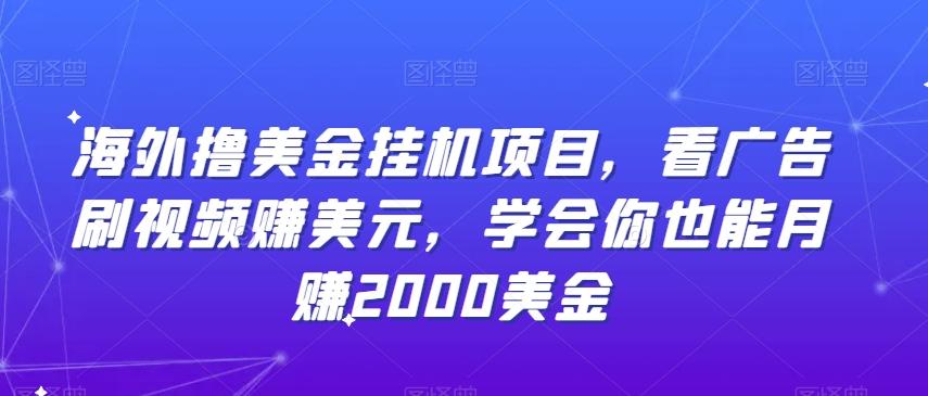 海外撸美金挂机项目，看广告刷视频赚美元，学会你也能月赚2000美金-情久项目网