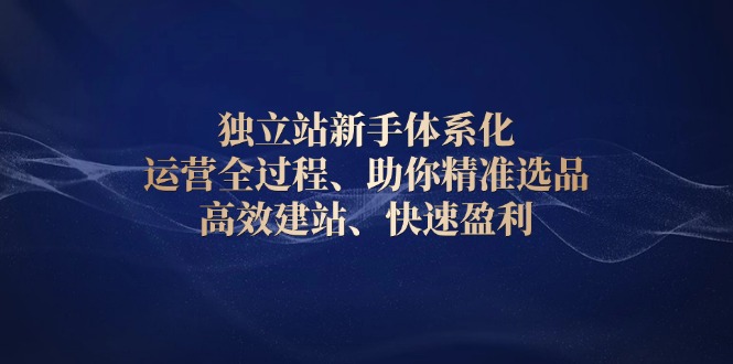 独立站新手体系化 运营全过程，助你精准选品、高效建站、快速盈利-情久项目网