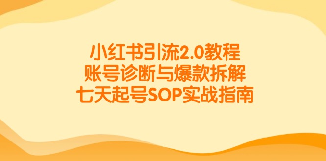 小红书引流2.0教程，账号诊断与爆款拆解，七天起号SOP实战指南-情久项目网