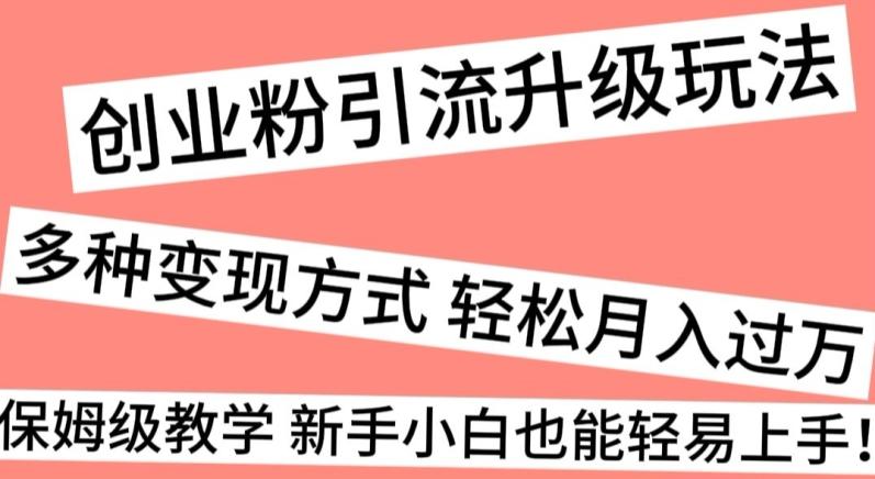 创业粉引流升级玩法，多种变现方式轻松月入过万，保姆级教学新手小白也能轻易上手！-情久项目网