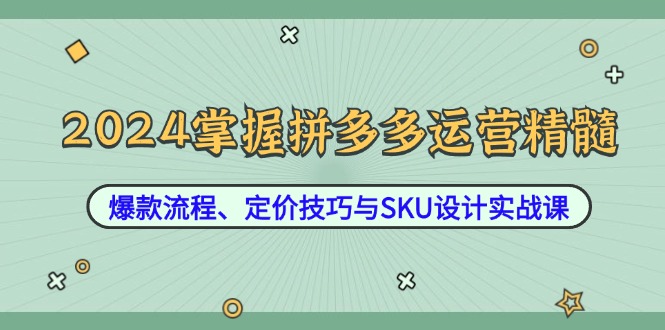 2024掌握拼多多运营精髓：爆款流程、定价技巧与SKU设计实战课-情久项目网