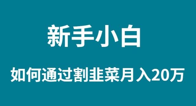 (9308期)新手小白如何通过割韭菜月入 20W-情久项目网