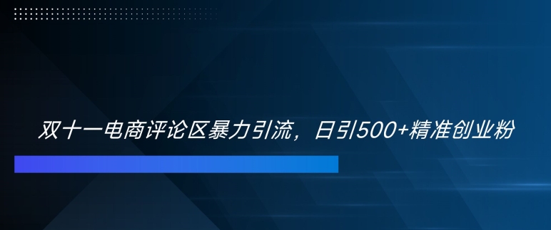 双十一电商评论区暴力引流，日引500+精准创业粉【揭秘】-情久项目网