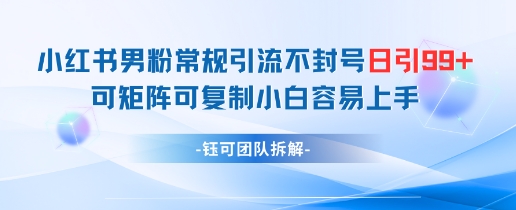 小红书男粉常规引流不封号日引99+变现简单 可矩阵可复制小白容易上手-情久项目网