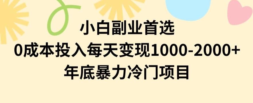 小白副业首选，0成本投入，每天变现1000-2000年底暴力冷门项目【揭秘】-情久项目网