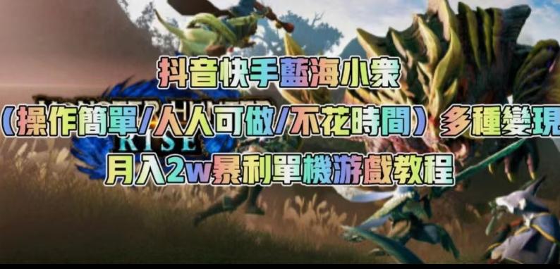 抖音快手蓝海小众（操作简单人人可做不花时间）多种变现月入2w＋暴利单机游戏教程-情久项目网