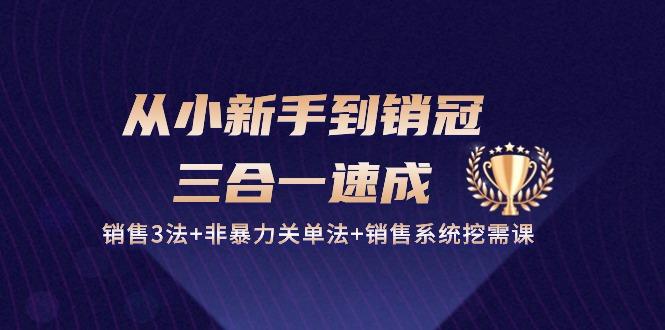 从小新手到销冠 三合一速成：销售3法+非暴力关单法+销售系统挖需课 (27节-情久项目网