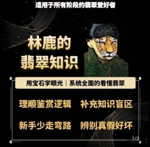 林鹿的翡翠知识，​用宝石眼光，系统全面的看懂翡翠-情久项目网
