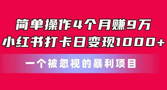 简单操作4个月赚9w，小红书打卡日变现1k，一个被忽视的暴力项目【揭秘】-情久项目网