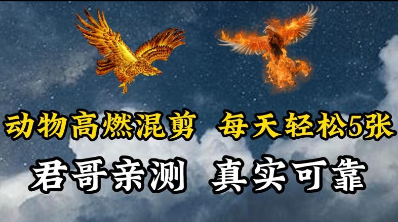动物超燃混剪，每天轻松5张，剪辑简单大家爱看【揭秘】-情久项目网