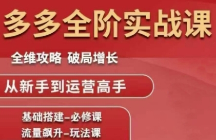 拼多多全阶实战课程，全维攻略，破局增长，从新手到运营高手-情久项目网