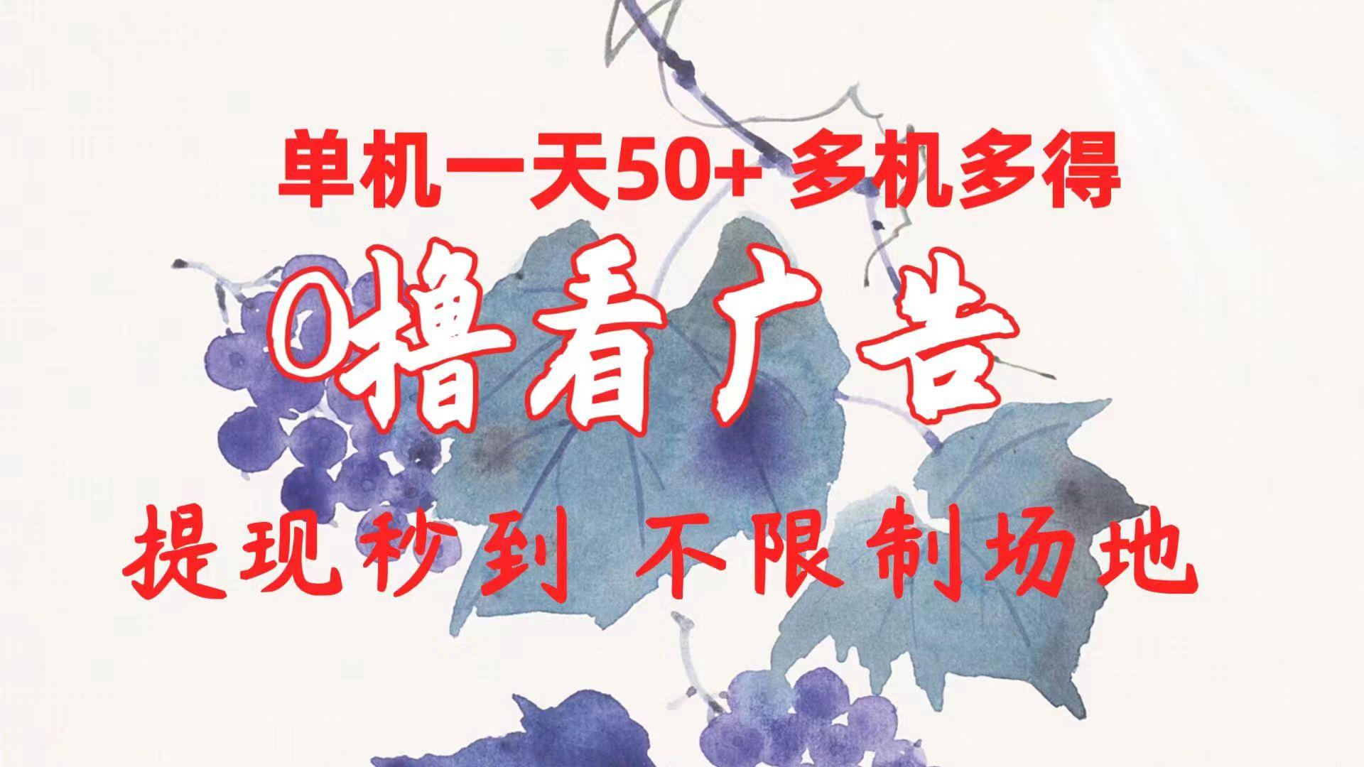 0撸看广告 单机一天50+多机多得 提现秒到 不限制场地操作-情久项目网