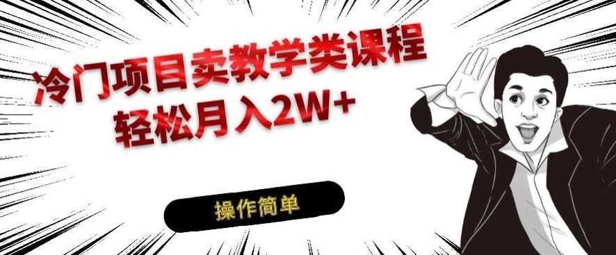 冷门项目卖教学类课程，轻松月入2W+-情久项目网