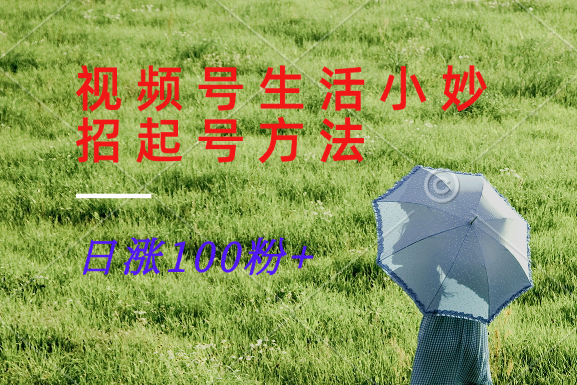 视频号生活小妙招分享赛道， 起号涨粉新方法，日涨100粉-情久项目网