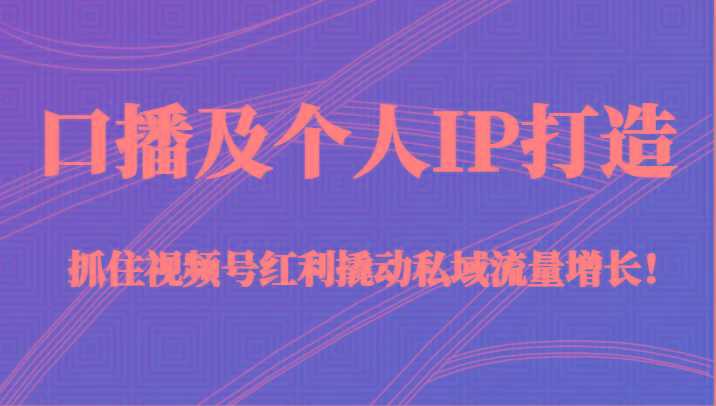 口播及个人IP打造，抓住视频号红利撬动私域流量增长！（45节课）-情久项目网