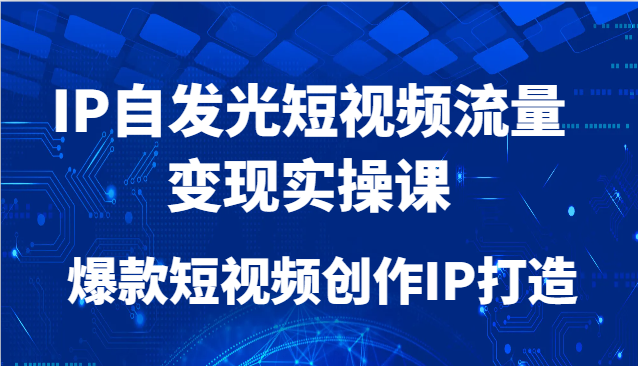 IP自发光短视频流量变现实操课，爆款短视频创作IP打造-情久项目网