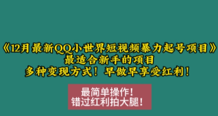 12月最新QQ小世界短视频暴力起号项目，最适合新手的项目，多种变现方式-情久项目网