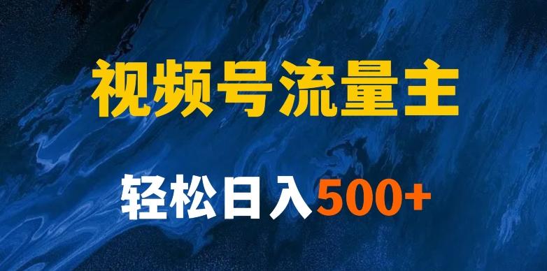 揭秘视频号创作者分成计划，带你玩赚视频号流量主！新手也能月入1w+-情久项目网