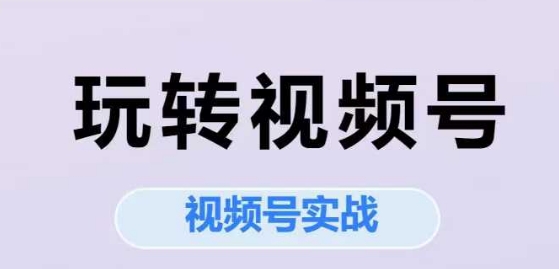 玩转视频号，视频号实战系列课-情久项目网