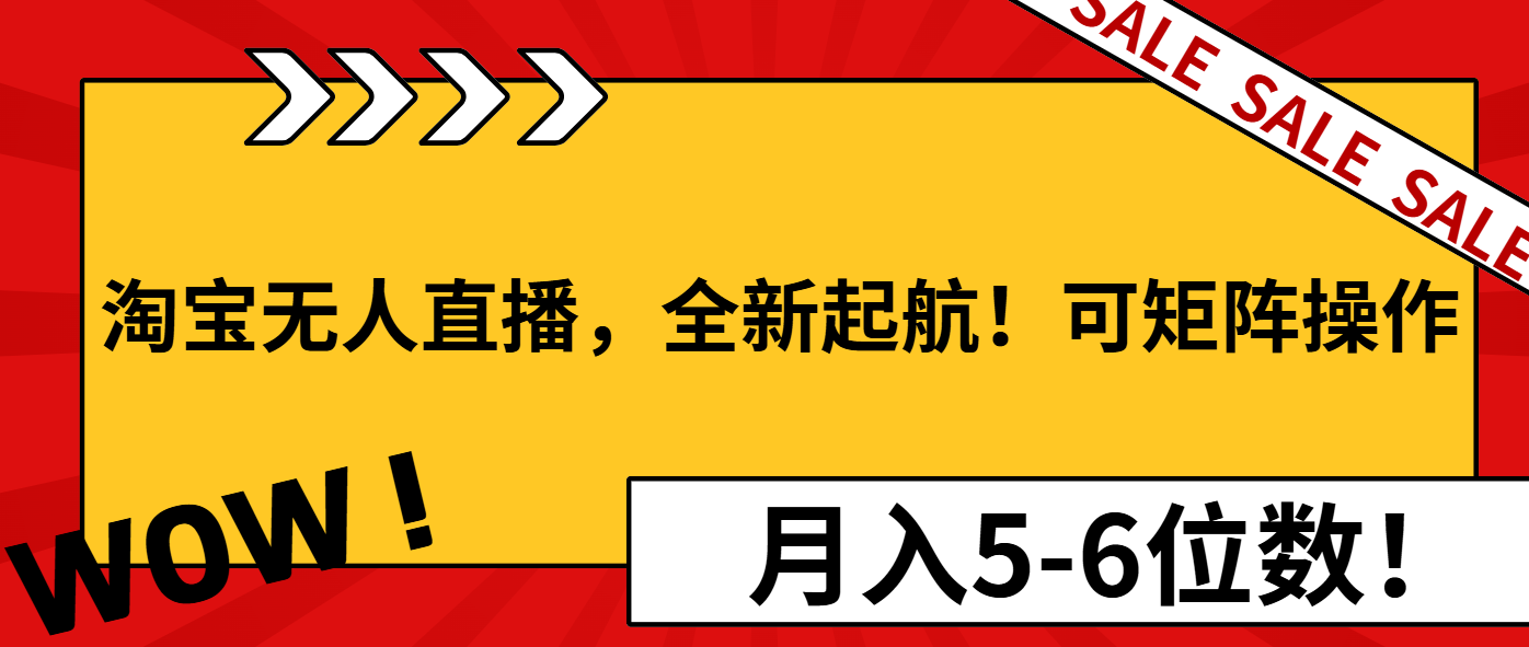 淘宝无人直播，全新起航！可矩阵操作，月入5-6位数！-情久项目网