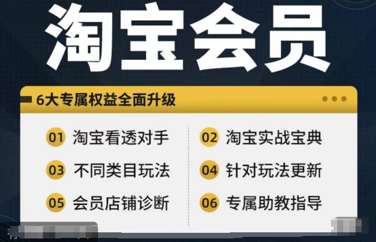 淘宝会员【淘宝所有课程，全面分析对手】，初级到高手全系实战宝典-情久项目网