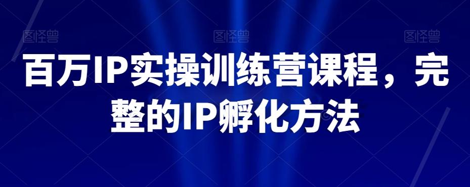 百万IP实操训练营课程，完整的IP孵化方法-情久项目网