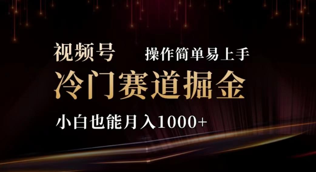 2024视频号冷门赛道掘金，操作简单轻松上手，小白也能月入1000+-情久项目网