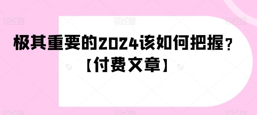 极其重要的2024该如何把握？【付费文章】-情久项目网