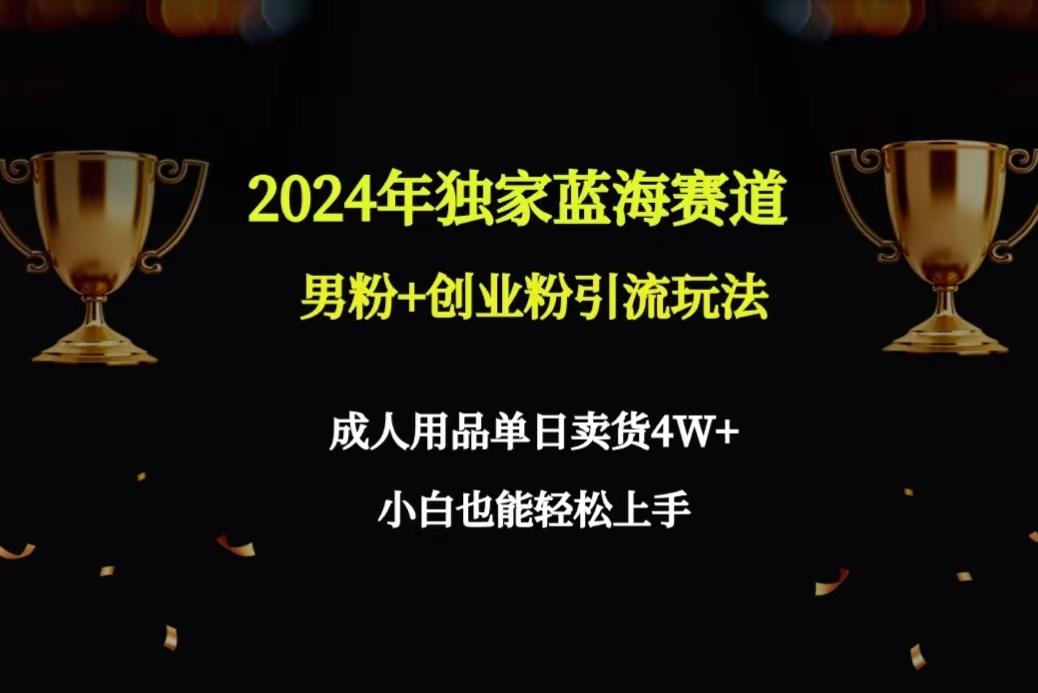 2024年独家蓝海赛道男粉+创业粉引流玩法，成人用品单日卖货4W+保姆教程-情久项目网