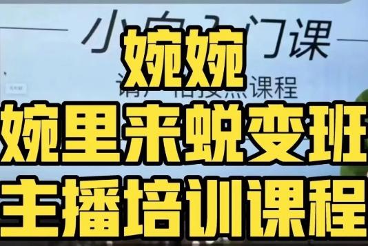 婉婉·婉里来蜕变班（主播课）全方位理解底层逻辑并灵活运用-情久项目网