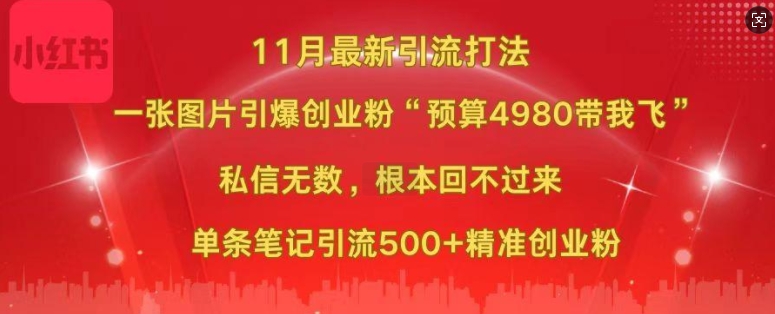 小红书11月最新图片打粉，一张图片引爆创业粉，“预算4980带我飞”，单条引流500+精准创业粉-情久项目网