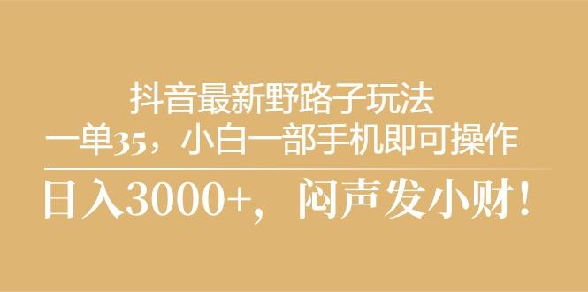 抖音最新野路子玩法，一单35，小白一部手机即可操作，，日入3000+，闷...-情久项目网