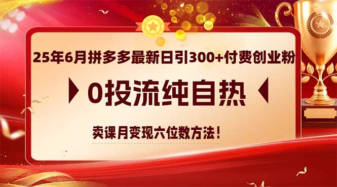 25年6月拼多多最新日引300+付费创业粉，0投流纯自热 卖课月变现六位数方法-情久项目网