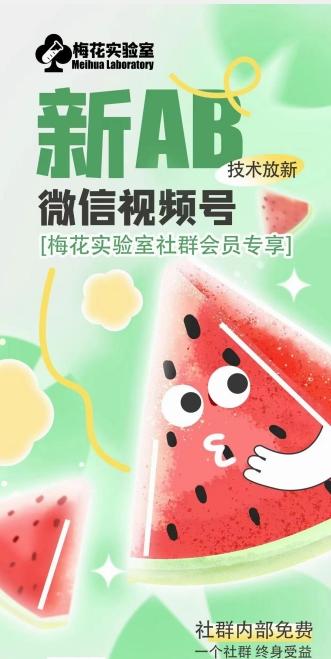 梅花实验室2024年AB技术视频号AB合成破解版-情久项目网