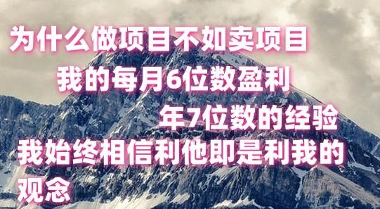 做项目不如卖项目，每月6位数盈利，年7位数经验-情久项目网