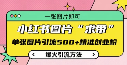 小红书图片‘求带’爆火引流法，单张图片引流500+精准创业粉【揭秘】-情久项目网