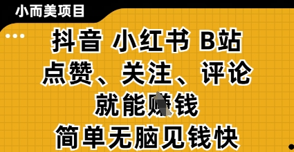 小而美的项目，抖音小红书B站视频点赞、关注、评论就能挣钱，简单无脑立见收益，妥妥的零撸项目【揭秘】-情久项目网