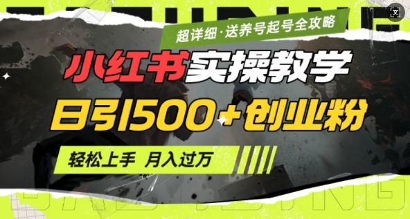 2月小红书最新日引500+创业粉实操教学【超详细】小白轻松上手，月入1W+，附小红书养号起号SOP-情久项目网